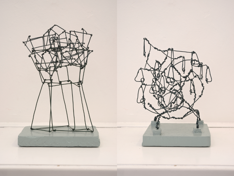 GEH-NEST/NASEN-NEST foto: christian konrad